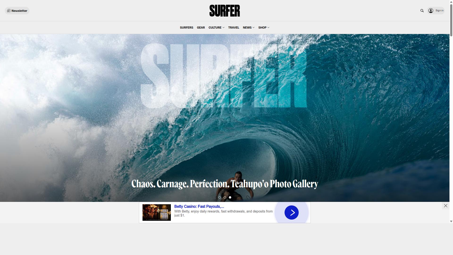 Surfer website
